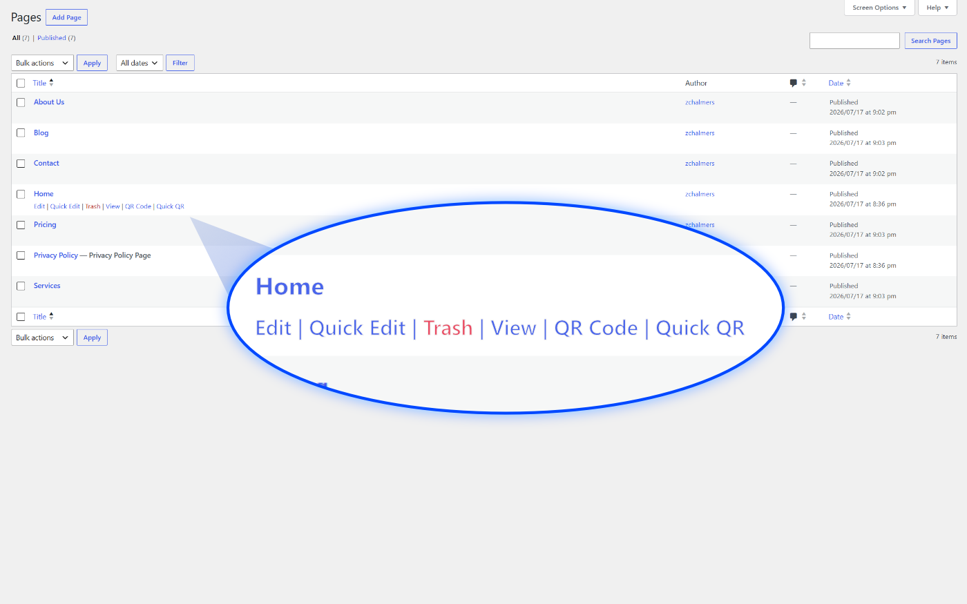 Instant QR screen in the WordPress admin showing a QR code preview, URL field, and PNG and SVG download buttons